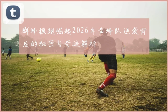 群蜂振翅崛起2026年黄蜂队逆袭背后的秘密与奇迹解析